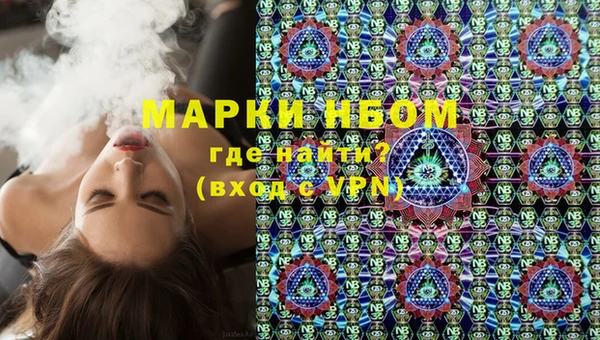 стаф Абаза