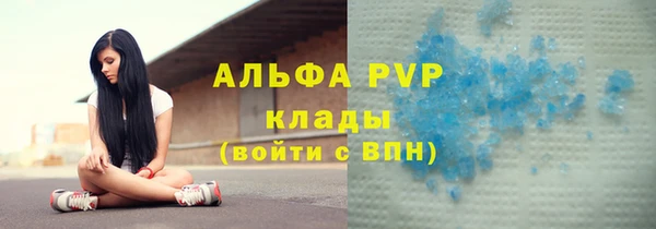 стаф Абаза