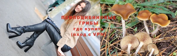 гашик Абинск
