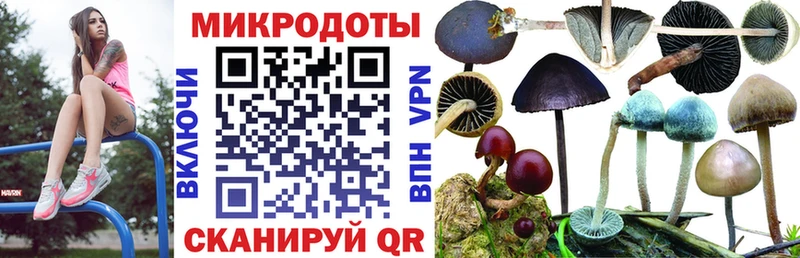Галлюциногенные грибы мухоморы  Нальчик 